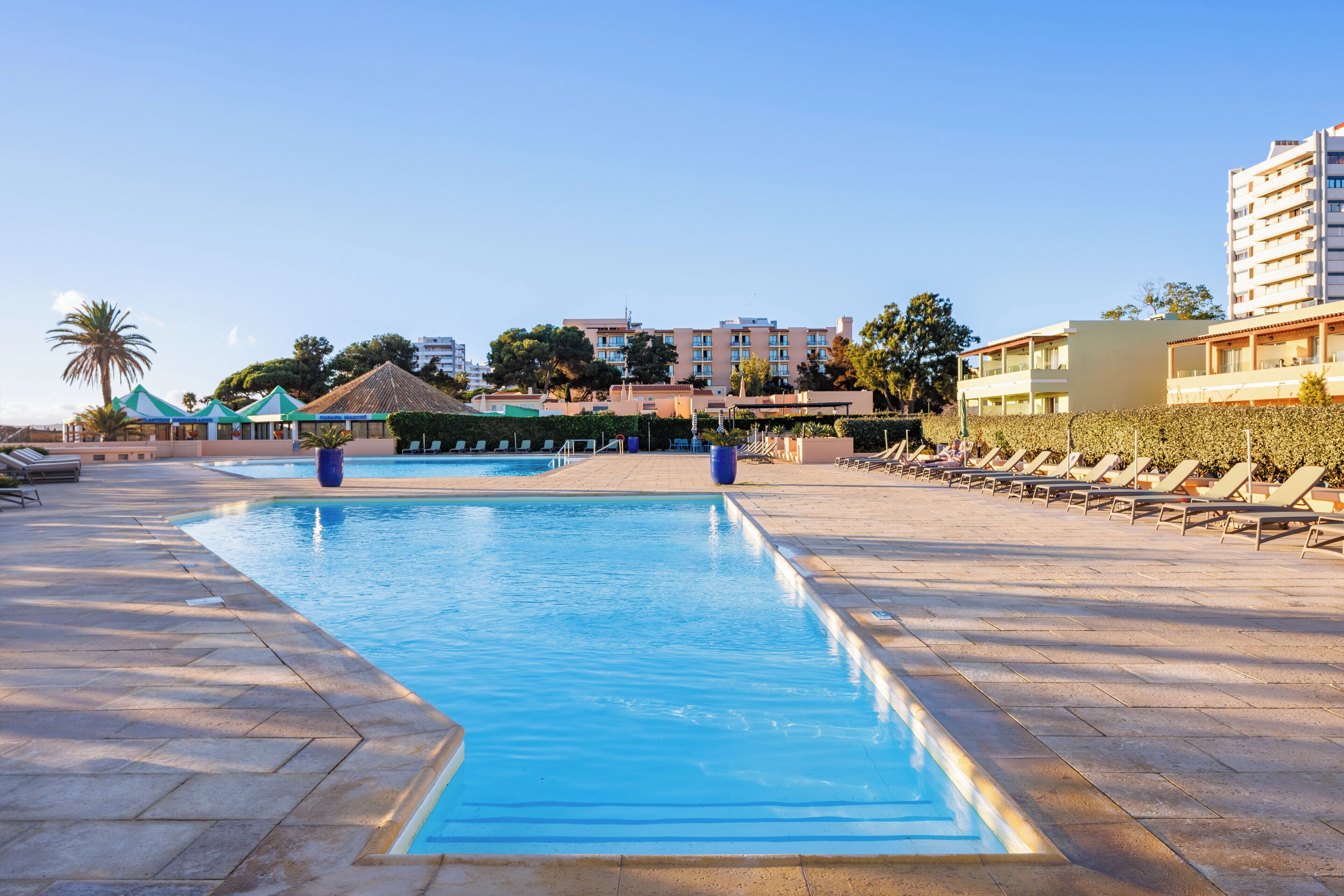 Piscina con sillas de descanso y sombrillas, rodeada de edificios y palmeras.
