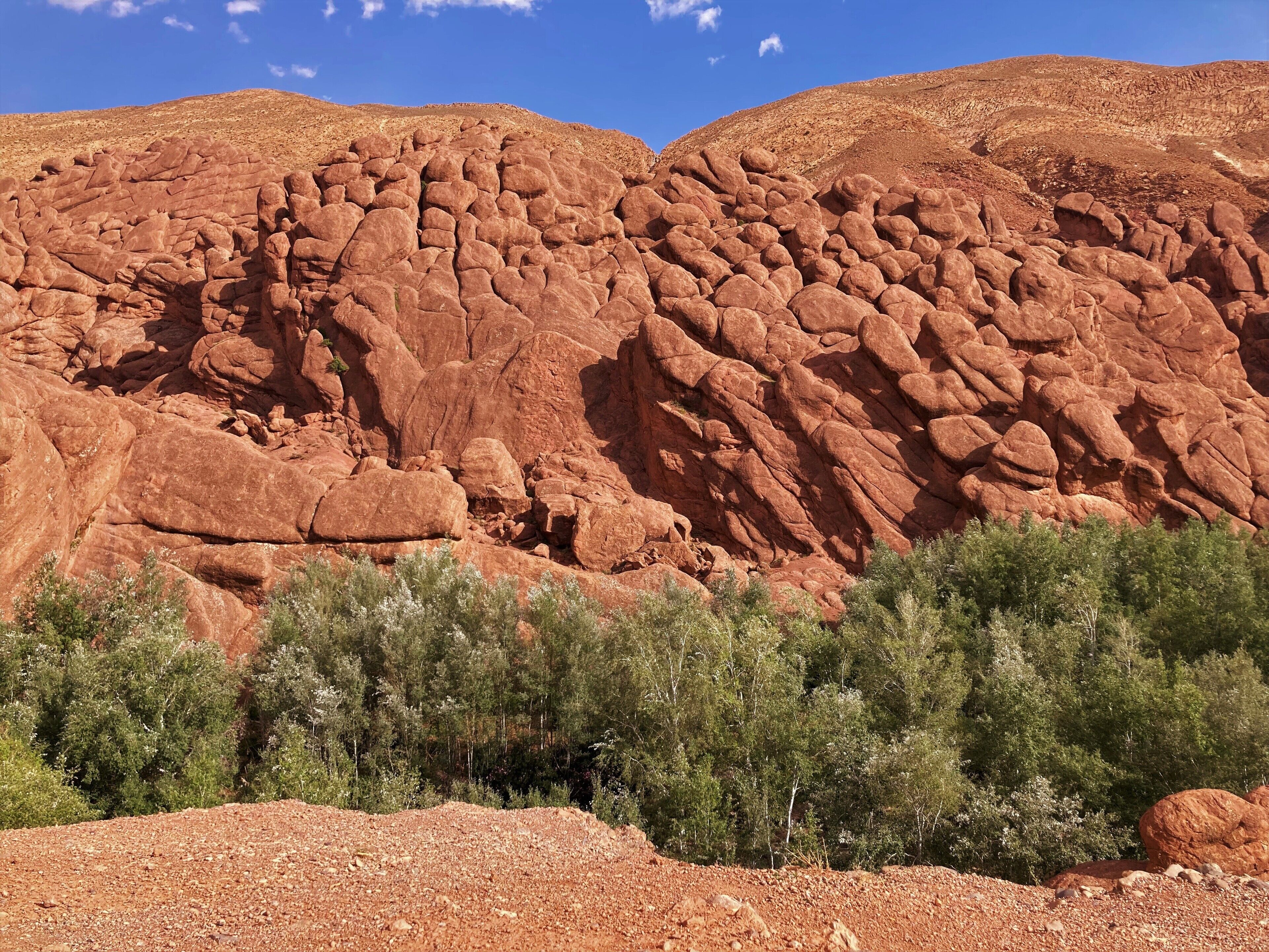 Un paisaje agreste de rocas rojas con abundante vegetación verde en primer plano.