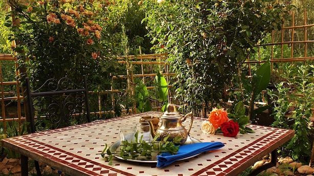Mesa al aire libre con mantel estampado, jarra de metal, vasos, plato con follaje y servilleta azul.