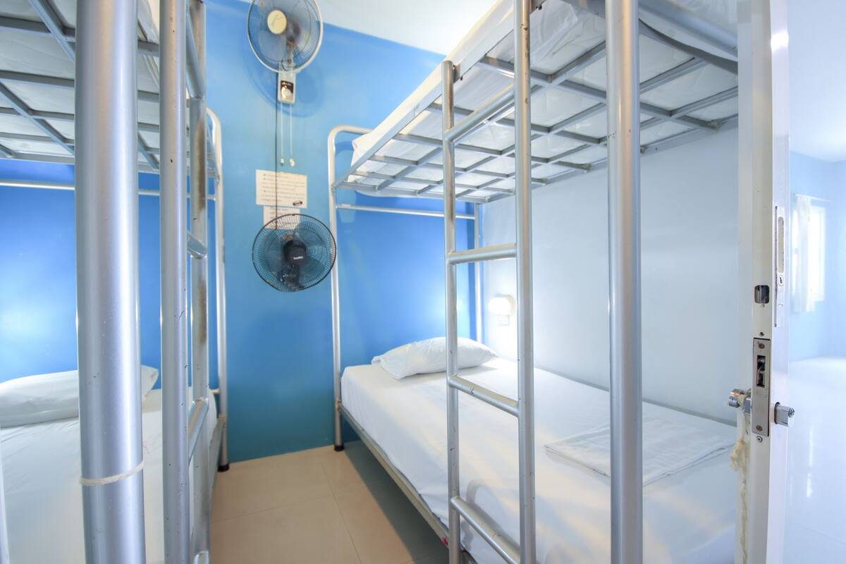 A bunk room with metal bunk beds, a ceiling fan, and a blue wall.
