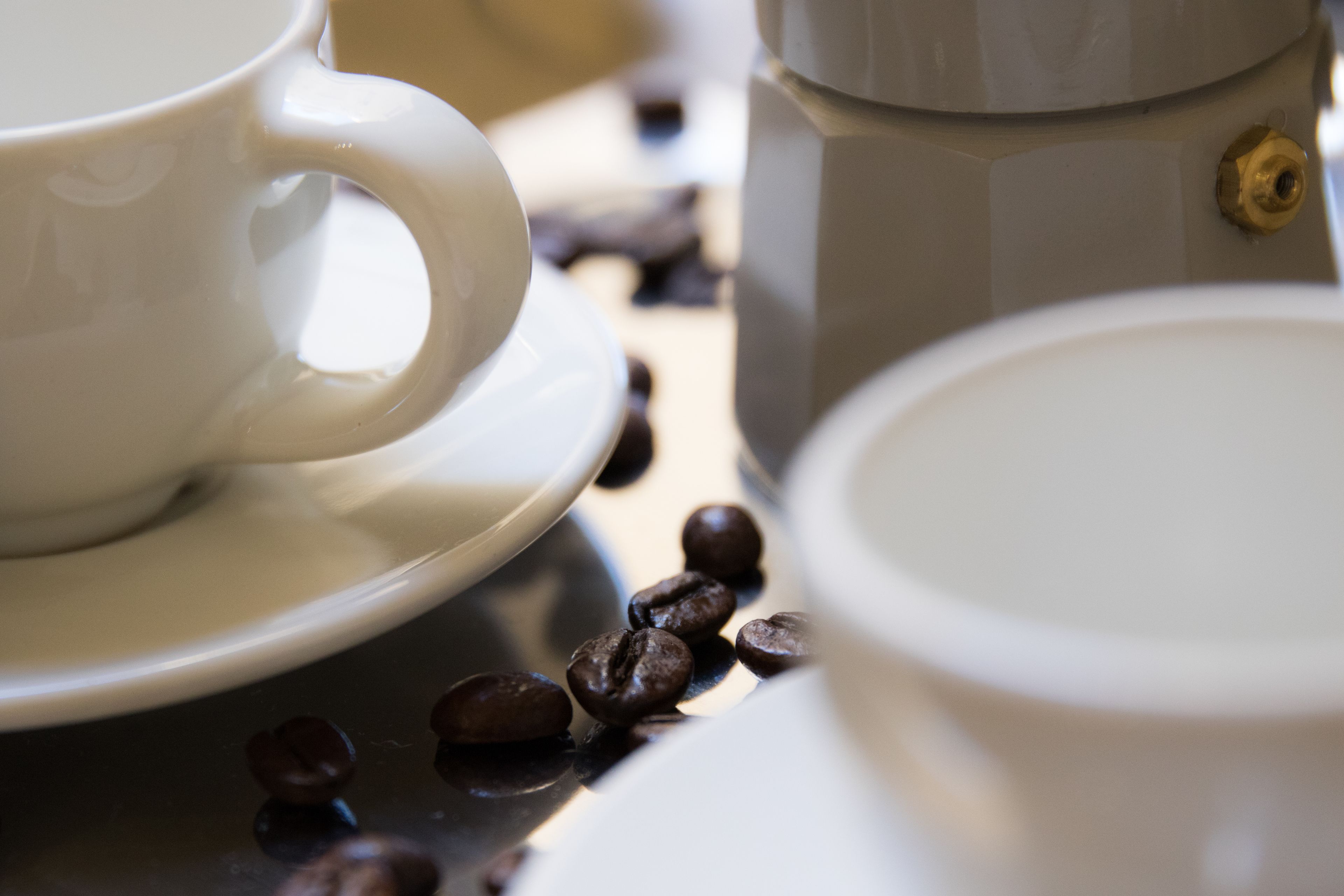 Foto - Esposizione Palace Hotel