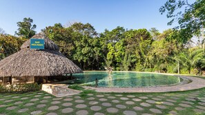 Outdoor pool, pool umbrellas, sun loungers