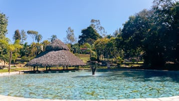 Outdoor pool, pool umbrellas, pool loungers
