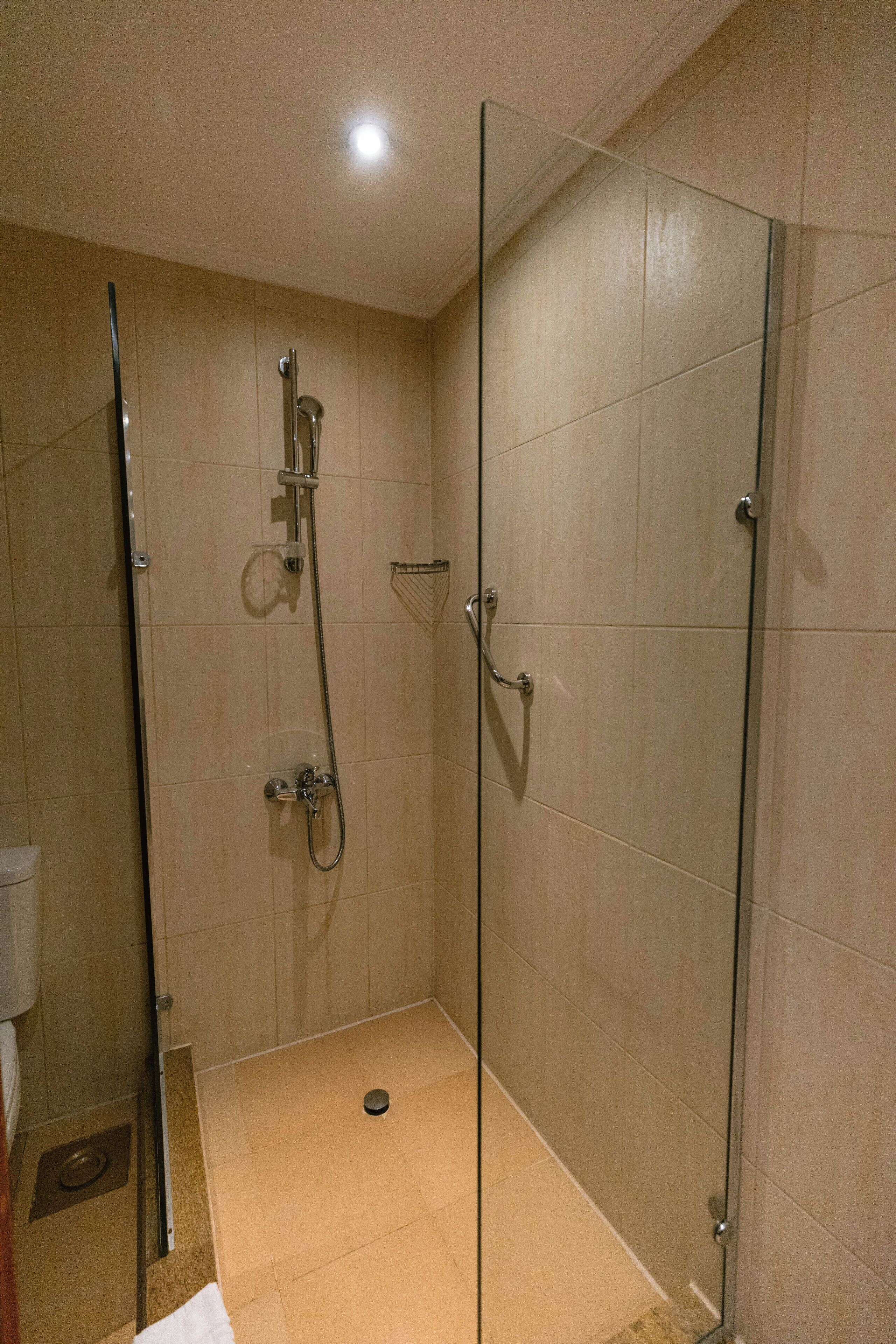 A glass-enclosed shower with a handheld showerhead, a wall-mounted faucet, and a handheld showerhead.
