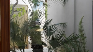 Janela com vista para um pequeno jardim interno, com palmeira, samambaias e um arranjo de pedras.