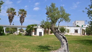 Um jardim com diversas árvores, um edifício branco com telhado plano e uma parede de pedra.