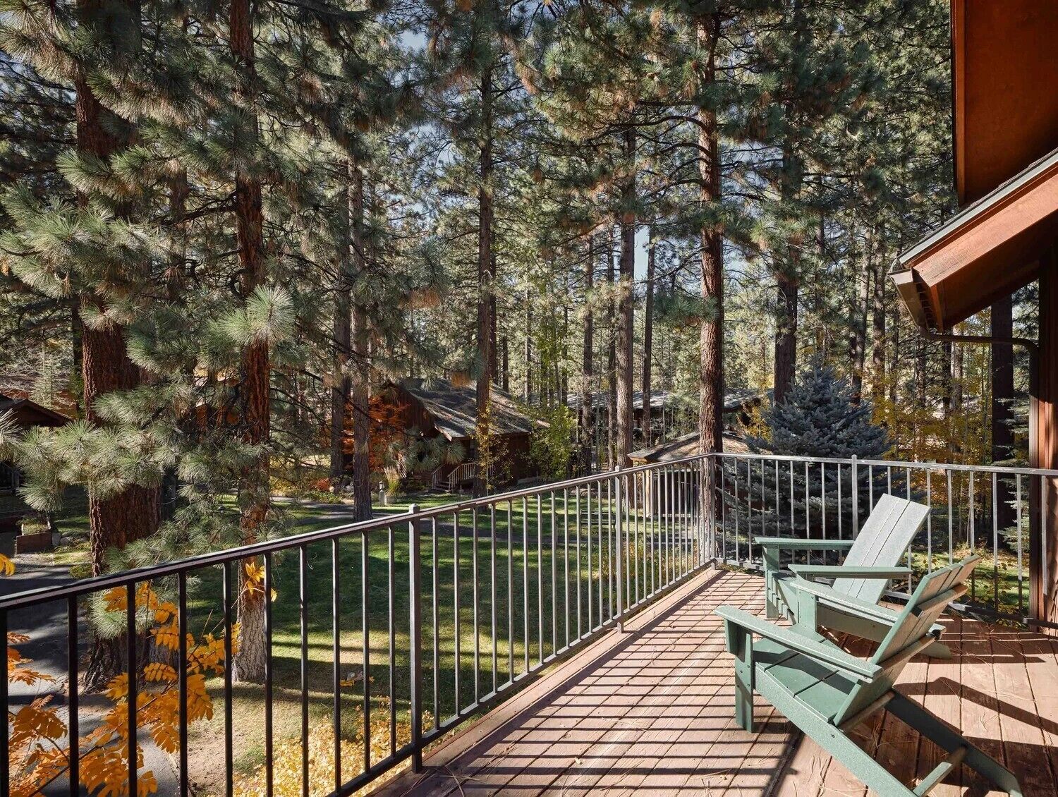 Foto - Black Bear Lodge