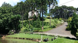 Paisaje rural con un camino de grava, un estanque y un cercado con patos.