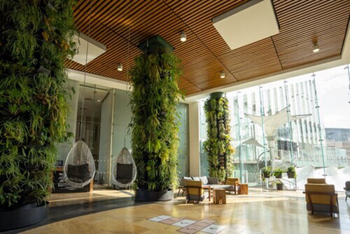 Hilton Garden Inn Mexico City Santa Fe