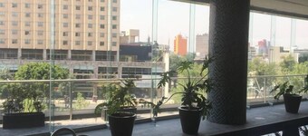 Cozy Apartment in Reforma Avenue