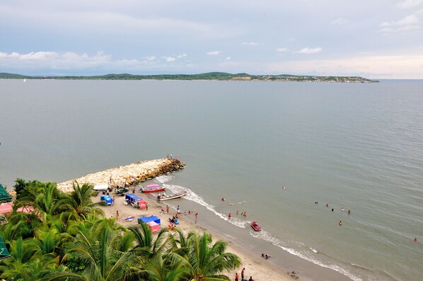 标准公寓, 2 间卧室 | 客房景观