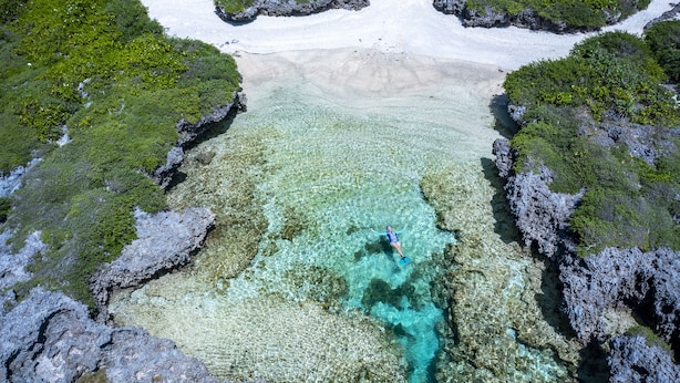 A clear aerial view of a beach with a person snorkeling in the water. - Papaya Villa B&B  (Eton)