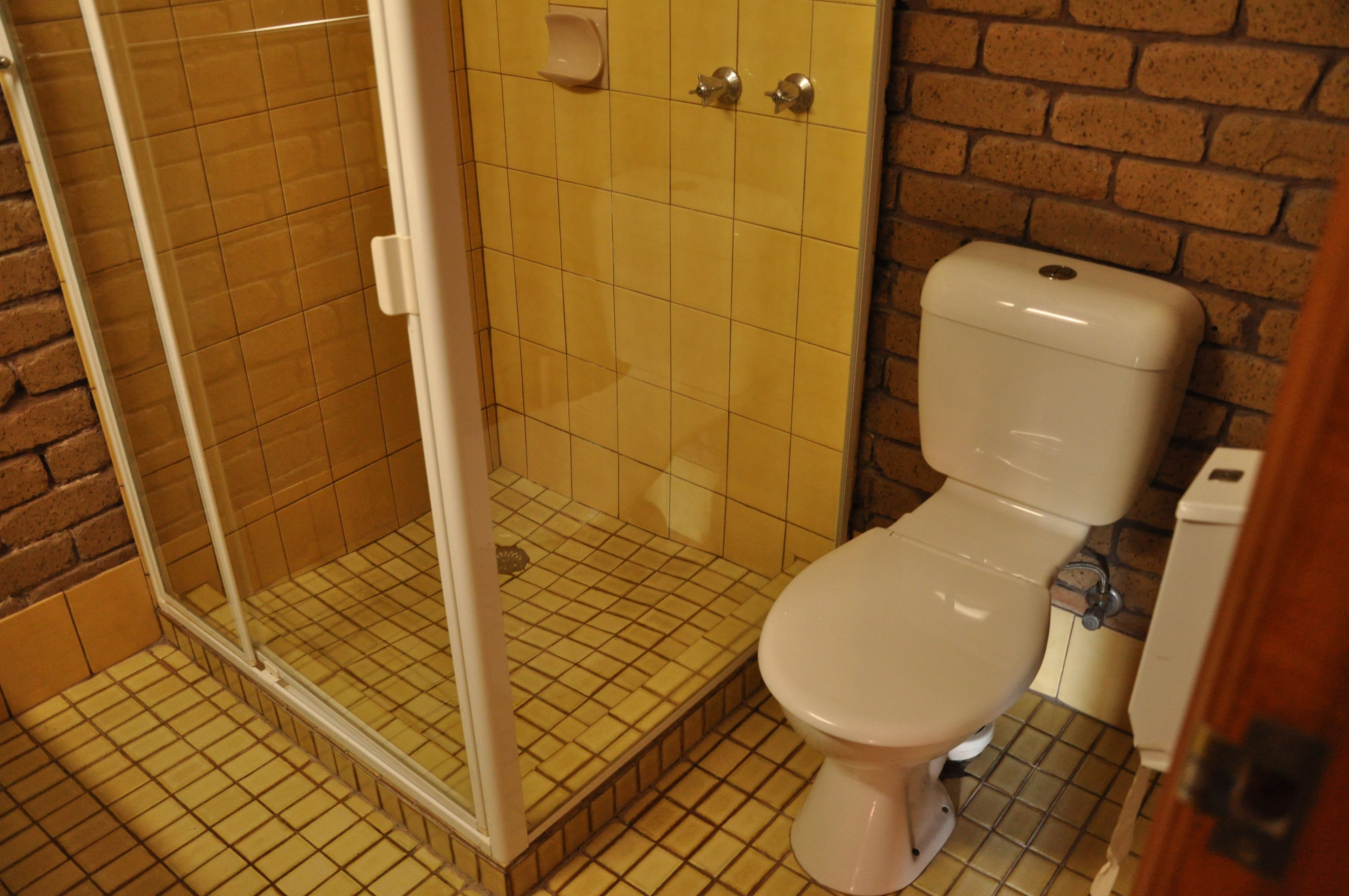 A bathroom with a shower, toilet, and a brick wall.