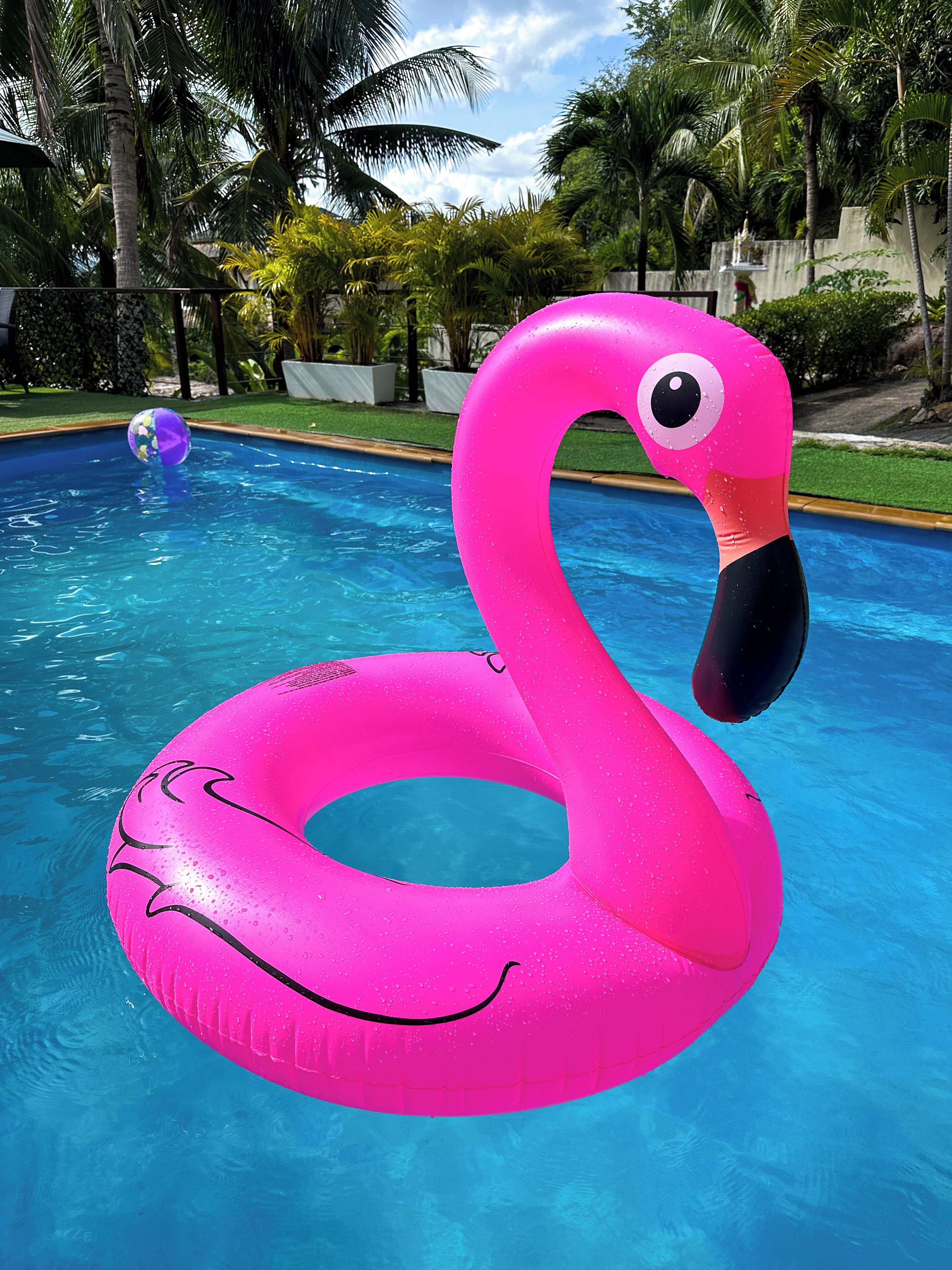 Foto - Sea Hills Resort