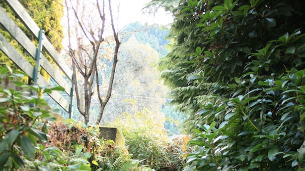 A stone staircase surrounded by lush greenery and a wooden fence. - The Flaming Kiwi Backpackers (Queenstown)