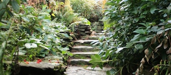 The Flaming Kiwi Backpackers