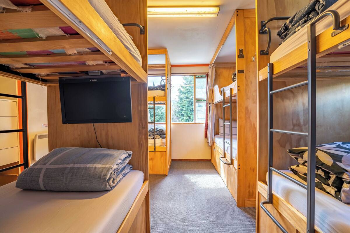 A compact, well-lit cabin with bunk beds, a television, and a window providing a view of the outdoors.