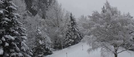 Un paisaje nevado con árboles y cielo despejado.