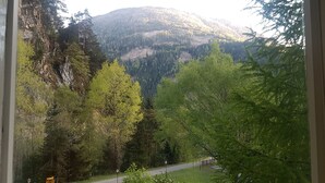 Een berglandschap met dichte bossen en een weg.