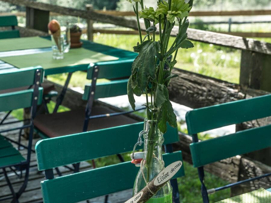 Une table recouverte d’une nappe verte et ornée d’un vase en verre contenant des fleurs blanches.
