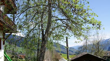 Eine Holzhütte mit einem Steinweg, einem kleinen Geräteschuppen und einer grünen Rutsche in einer Berglandschaft.