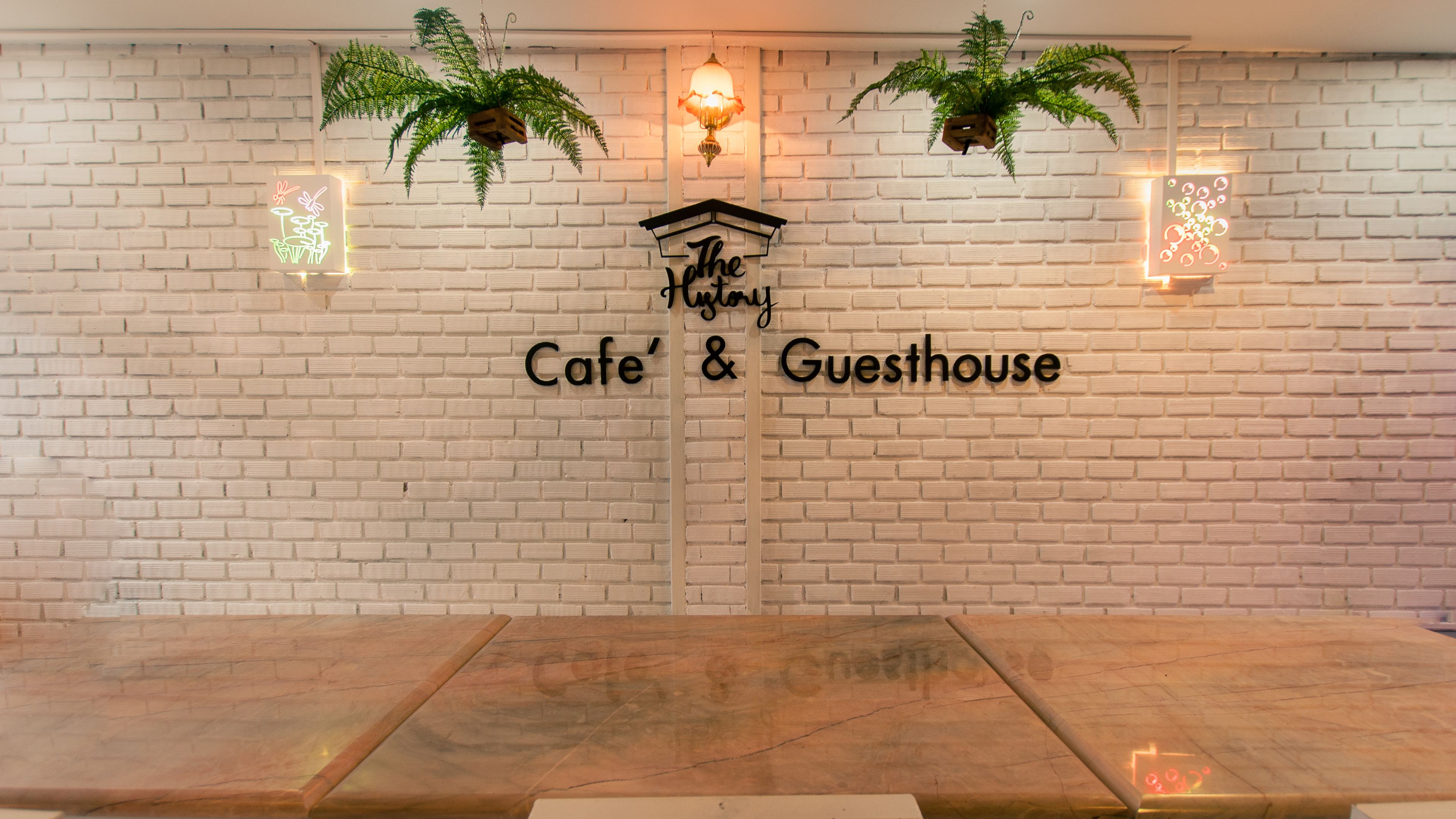 Un café et une maison d’hôtes avec un mur en briques en arrière-plan, des plantes suspendues et une table en bois.