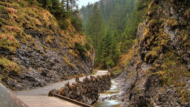 A wooden boardwalk beside a rocky stream in a forested area. - Szarotka (Zakopane)