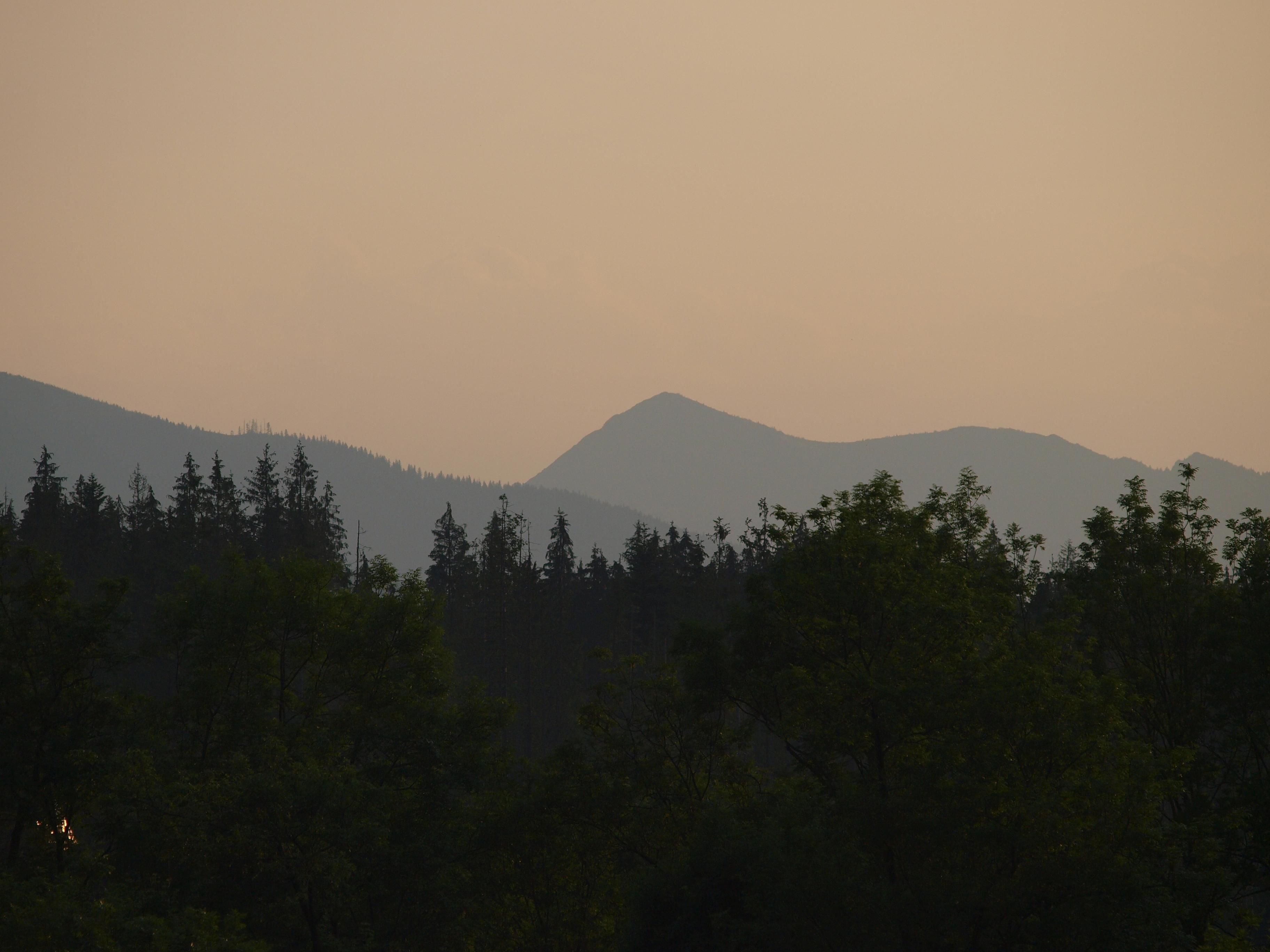 A mountainous landscape with dense forest in the foreground.