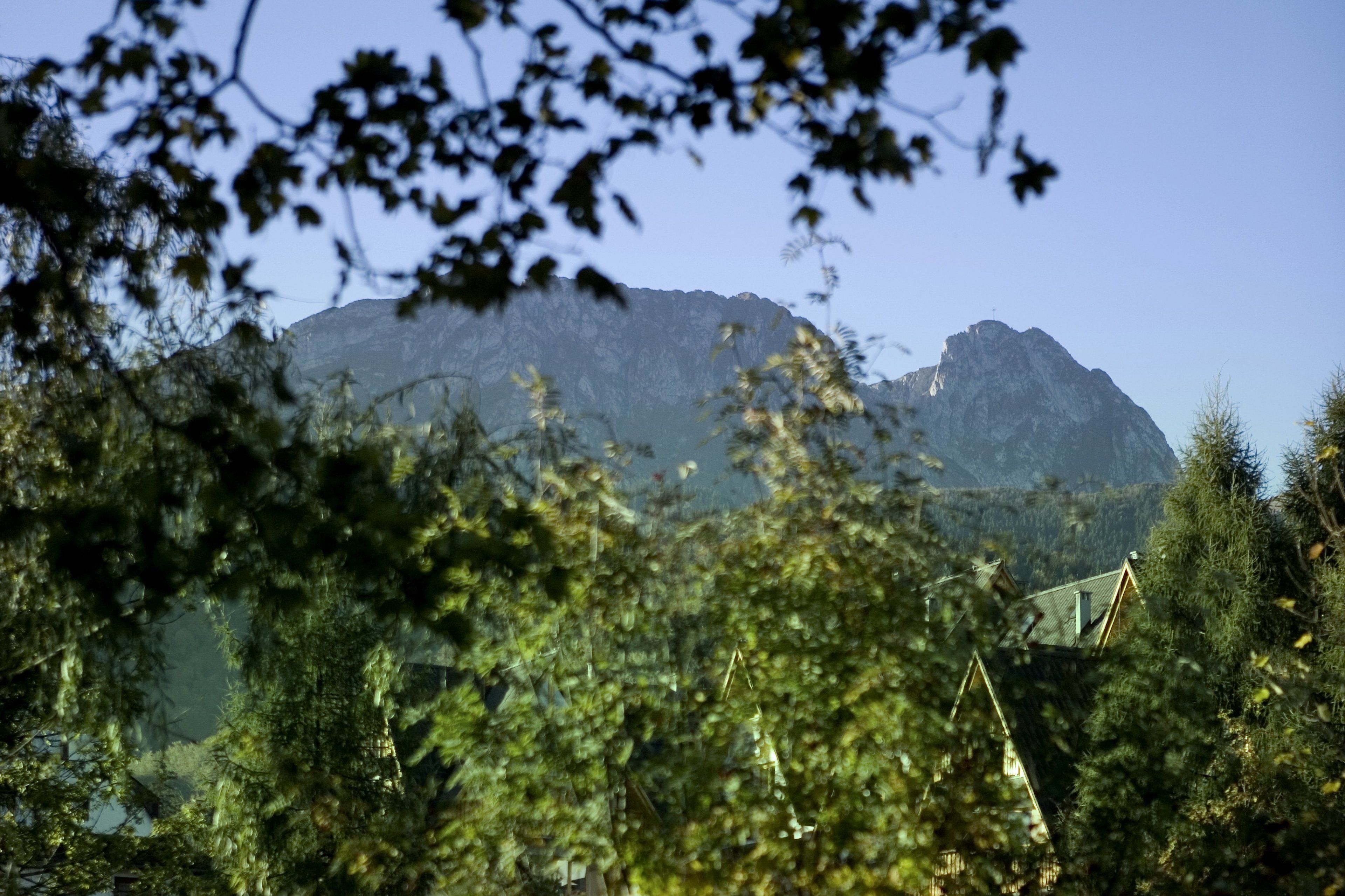 Eine Berglandschaft, in der ein Haus teilweise von Bäumen verdeckt ist.