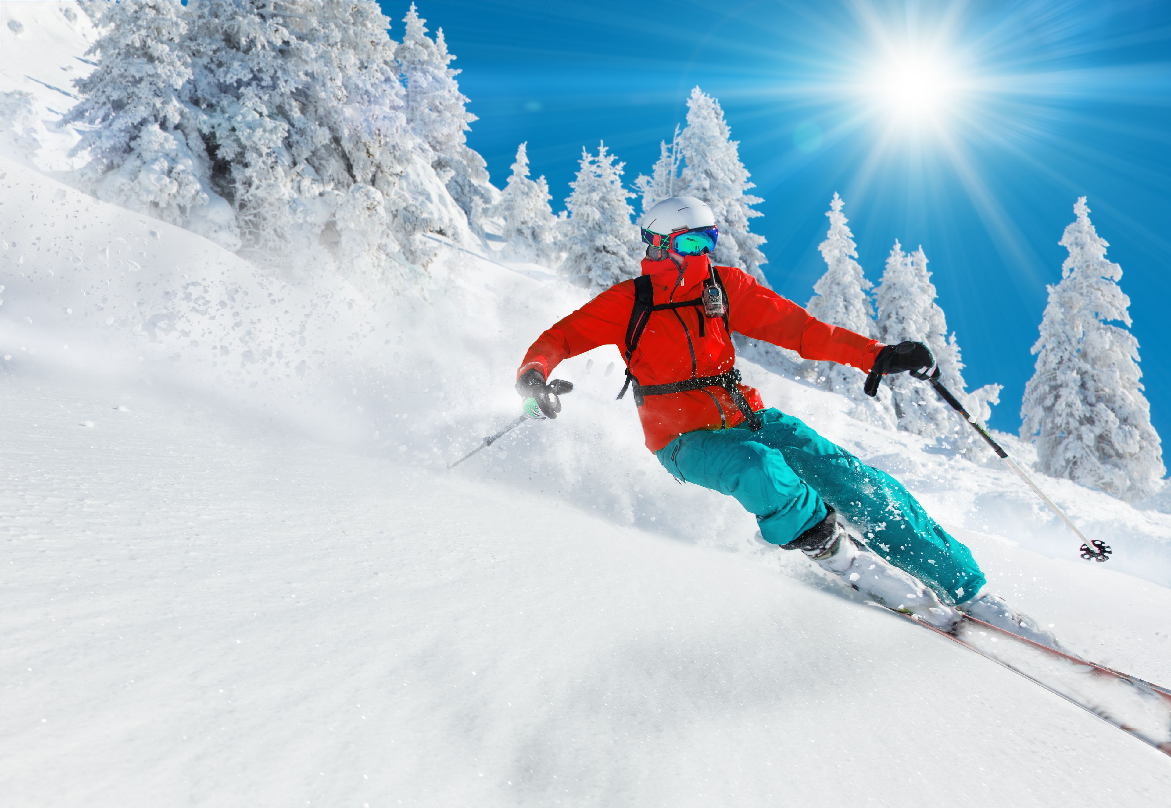 A person skiing on a snowy slope with trees in the background and a clear blue sky.