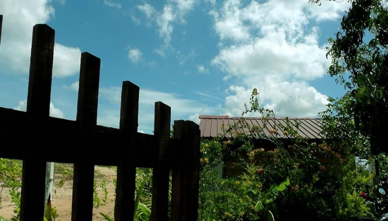 A wooden fence with vertical slats, a clear sky, and a building with a red roof partially obscured by foliage.