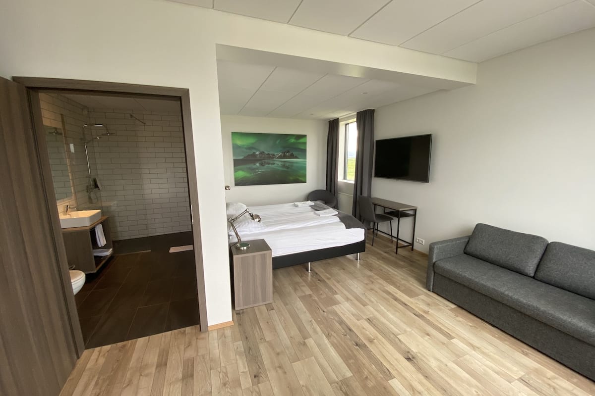 Una habitación de hotel moderna con suelo de madera, una cama, un escritorio, un televisor y un baño con ducha y lavabo.