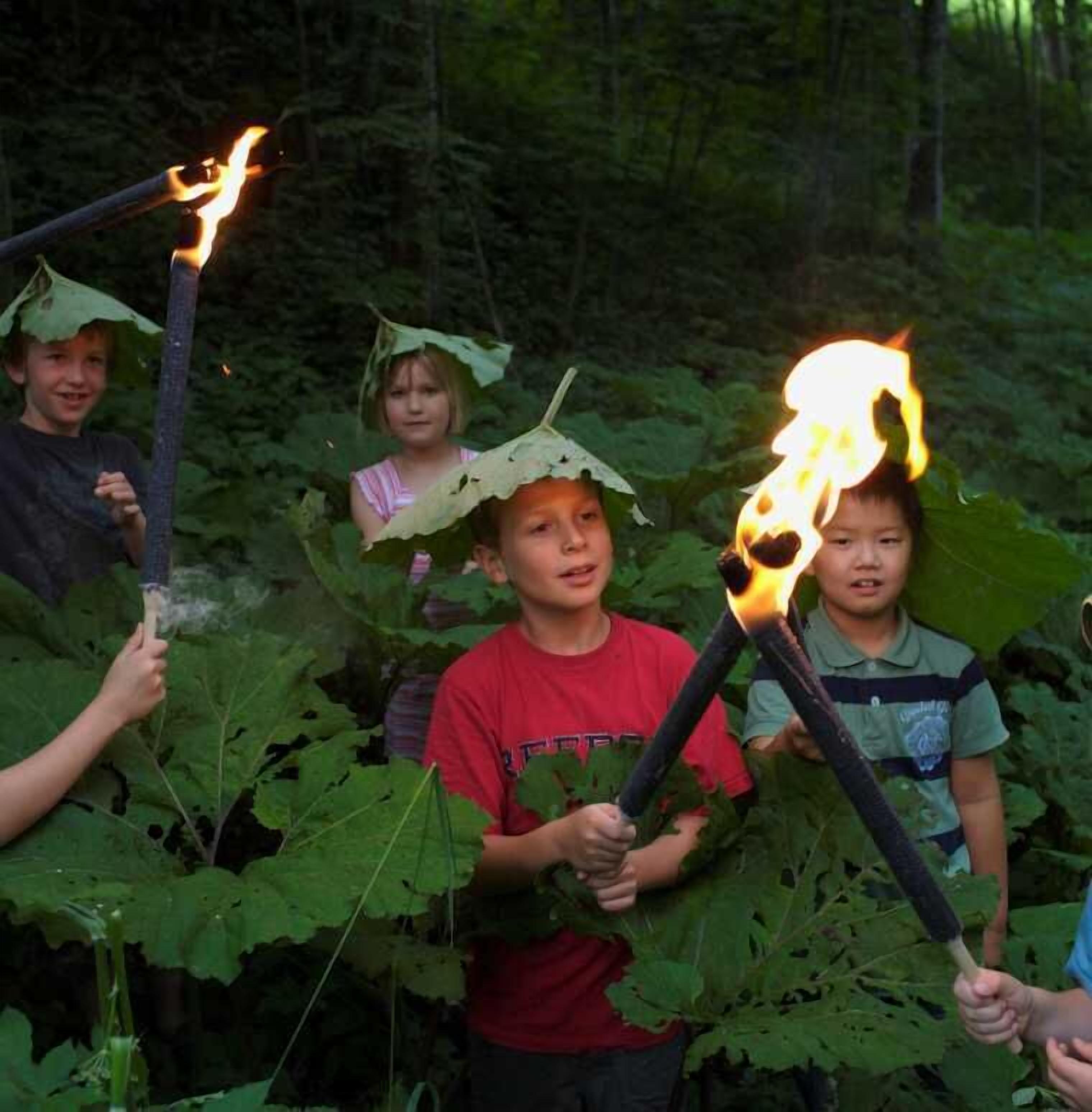 A group of people in a forested area, some holding torches with flames.
