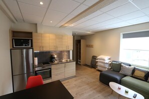 Luxury Studio Suite | Living room - K16 apartments (Akureyri)