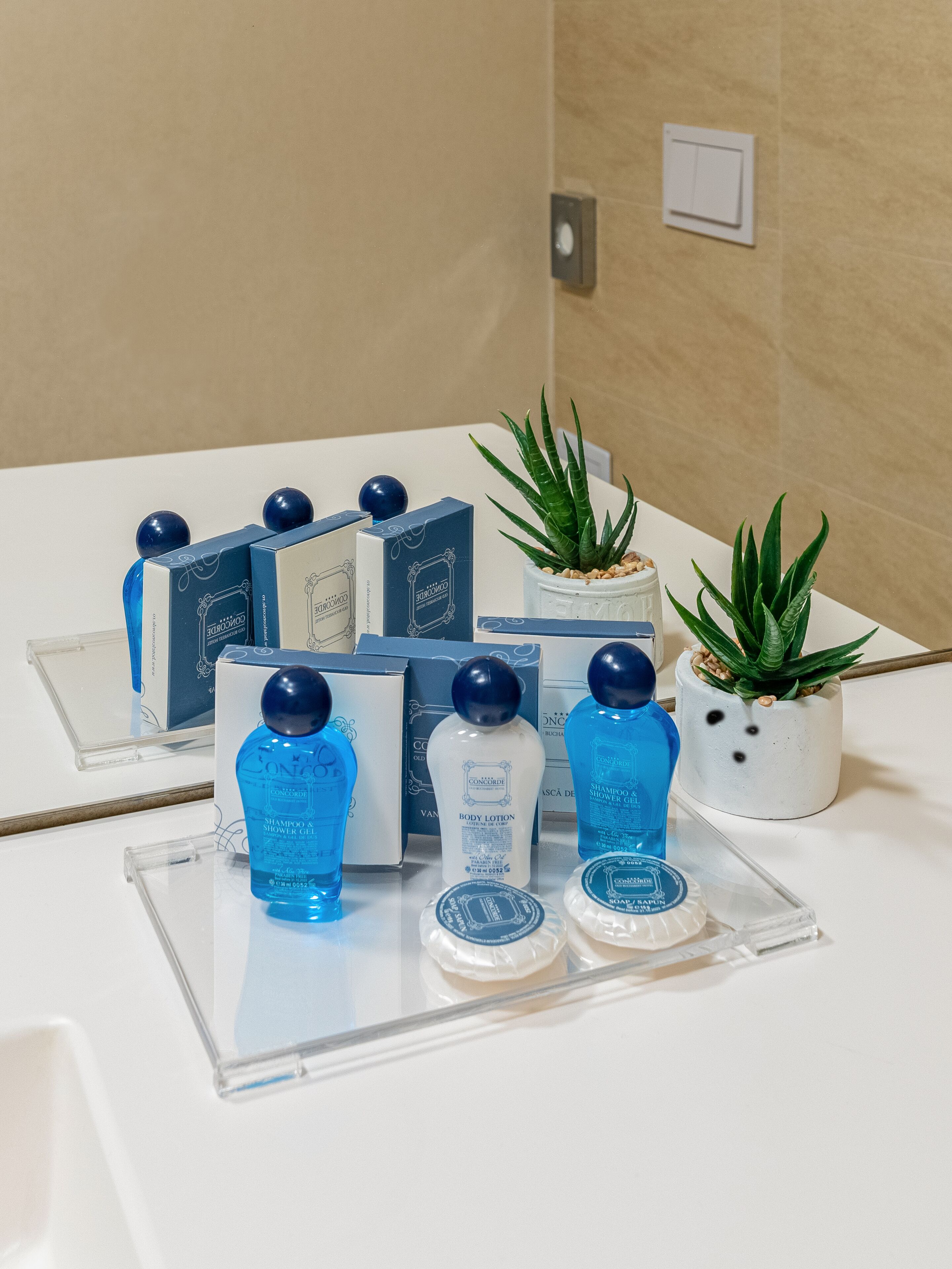 free toiletries, hair dryer, slippers, towels