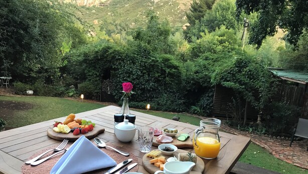 Une table en bois, dressée pour le petit-déjeuner, avec des fruits, du fromage et une carafe de jus d’orange, le tout entouré de verdure.