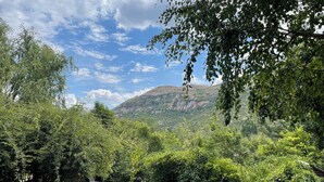 Un jardin luxuriant, avec une grande variété d’arbres et d’arbustes, un ciel dégagé et une chaîne de montagnes qui se dessine à l’horizon.