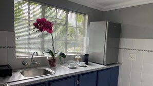 Uma cozinha com pia, uma orquídea em vaso, geladeira e janela com persianas.