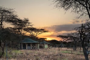 A safari lodge with multiple tents and a covered seating area, surrounded by dry grassland and sparse trees.