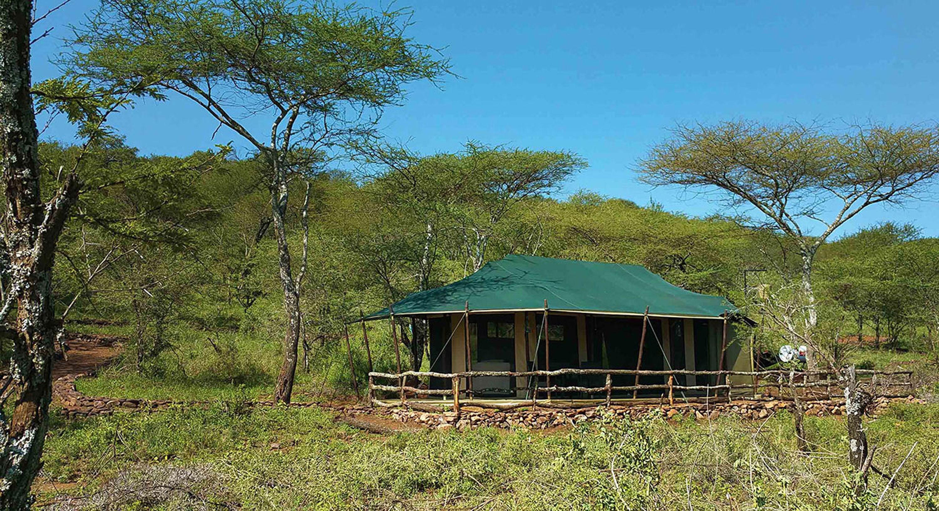A safari lodge with a green roof, surrounded by trees and natural landscape.