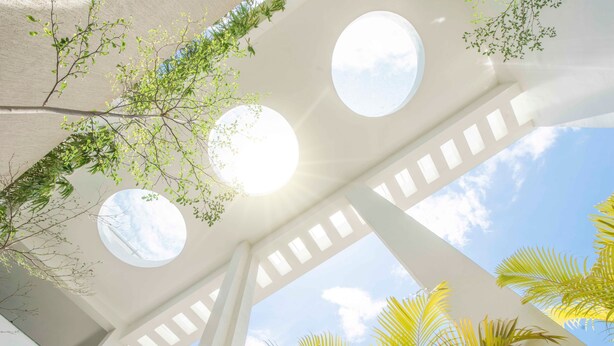 A ceiling with circular skylights and a view of palm trees. - Sidra Pristine Hotel & Portico Halls (Kanayannur)