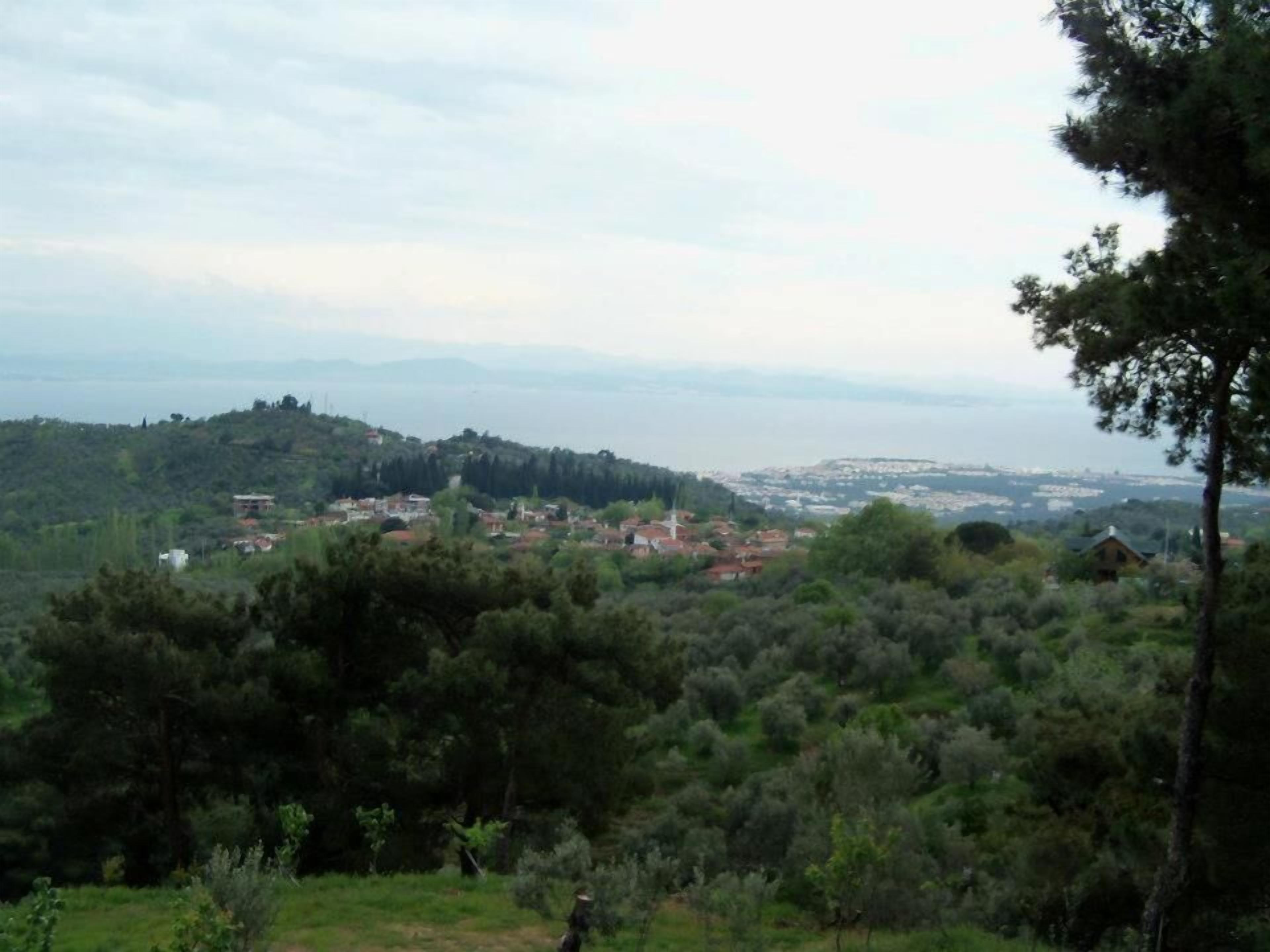 A coastal town with buildings on a hillside, surrounded by dense greenery.