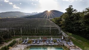 A pool area with lounge chairs and a view of a vineyard and mountains. - Hotel Finkenhof (Schenna)