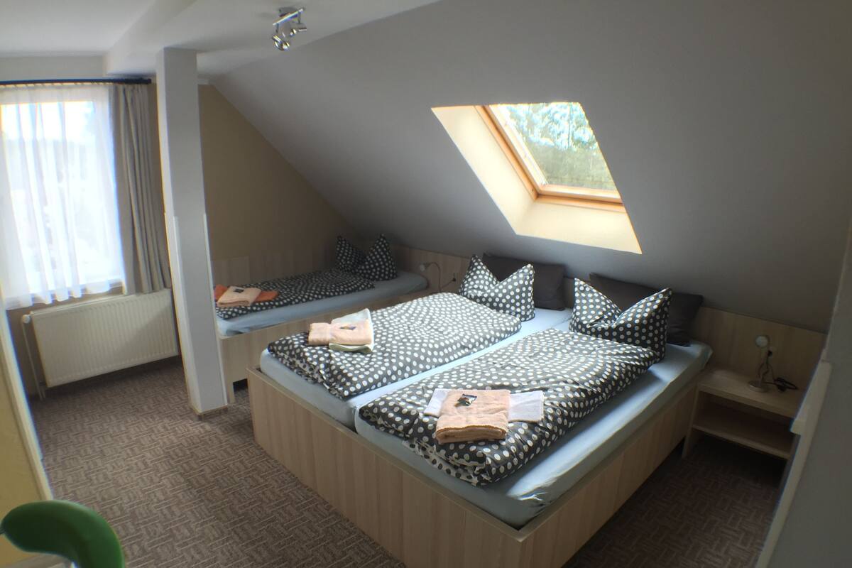 Basic Triple Room (for 3)