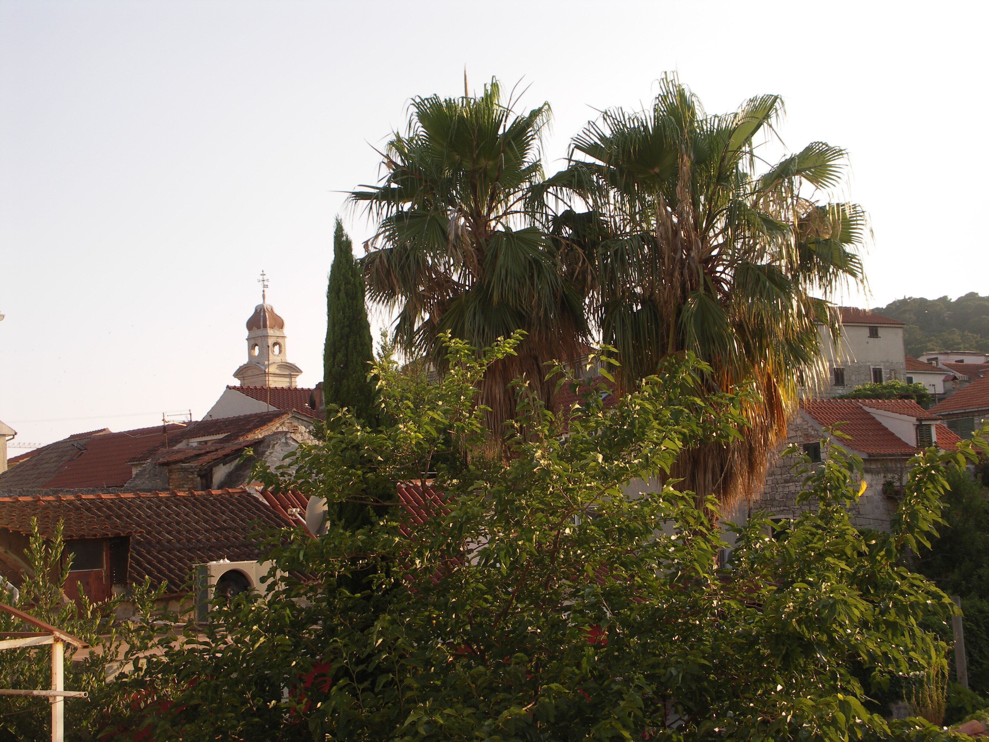 Photo - Aspalathos Residence