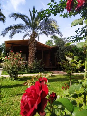 View from room - Olympos Yavuz Hotel (Kemer)