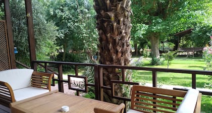 Olympos Yavuz Hotel