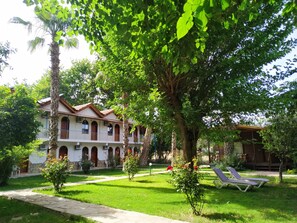 Jardim