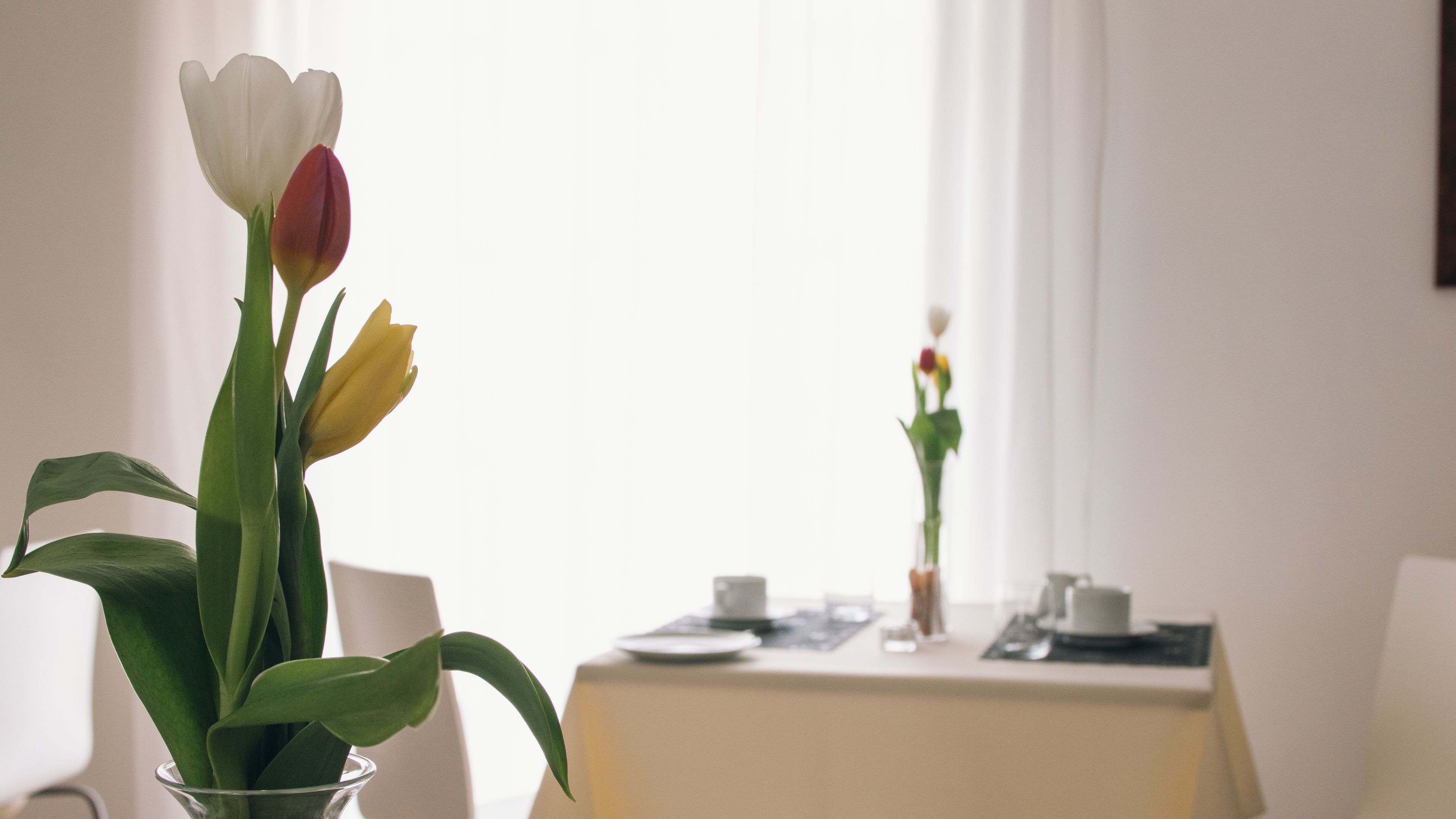 Photo - Alludo Aparthotel b&b