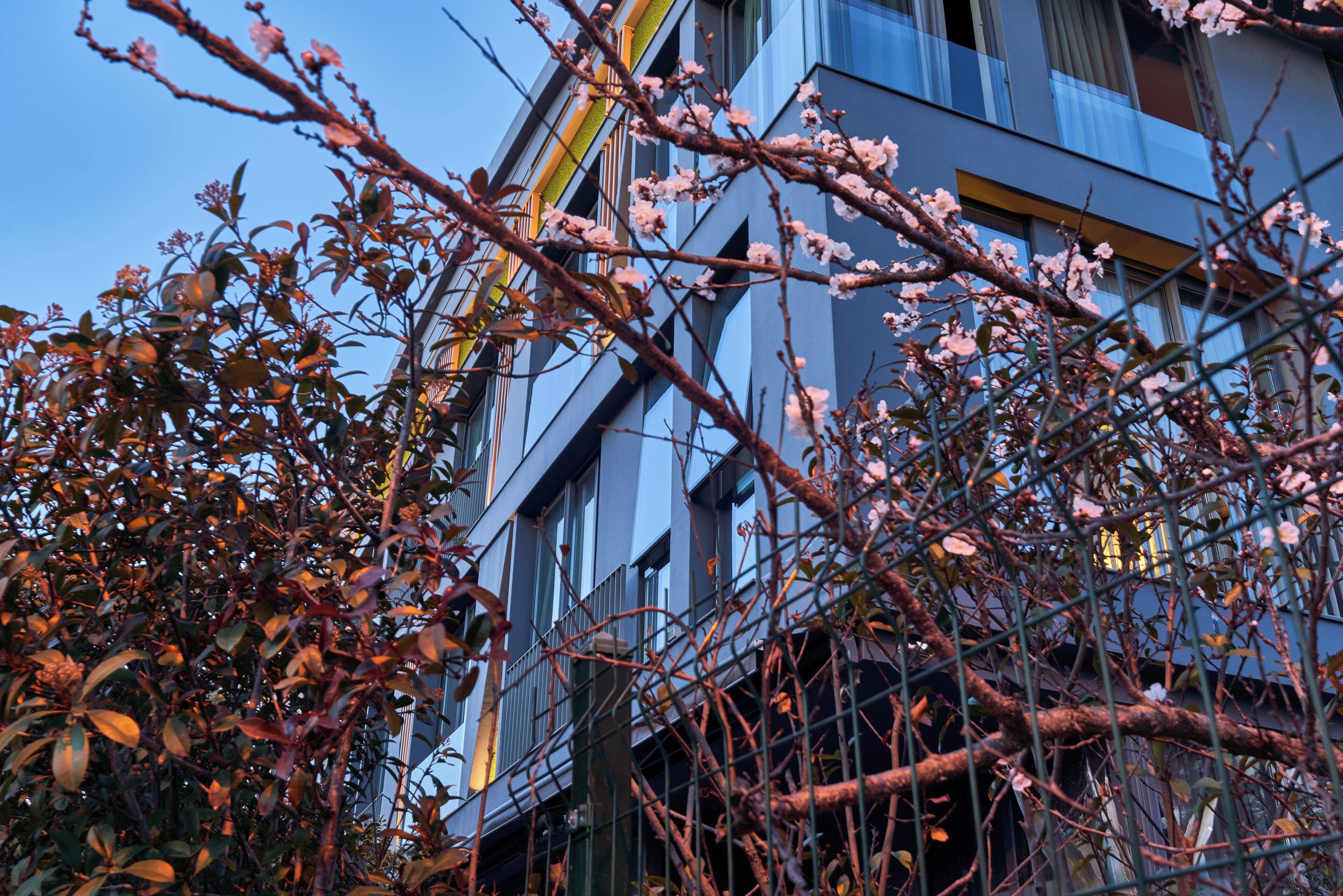 Photo - Loft 1502